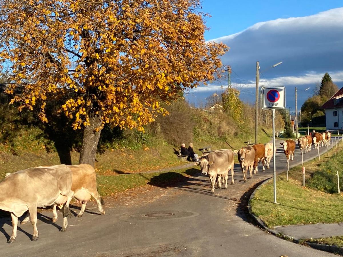 Im-Oberland - Tal - Lägenhet Bad Kohlgrub Exteriör bild