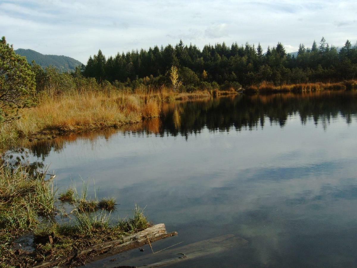 Im-Oberland - Tal - Lägenhet Bad Kohlgrub Exteriör bild